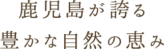 豊かな自然の恵み