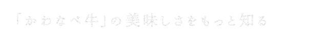 美味しさをもっと知る