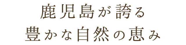 豊かな自然の恵み